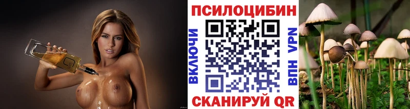 сколько стоит  Котово  Псилоцибиновые грибы мухоморы 