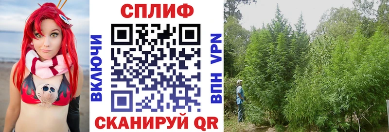 Канабис White Widow купить наркотики цена Котово
